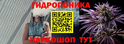 амф Гай