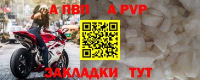 амф Гай