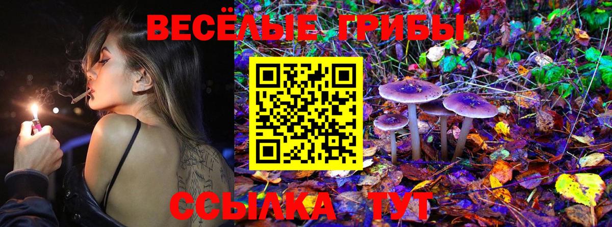 Псилоцибиновые грибы Cubensis  Вход с VPN  Белая Калитва 
